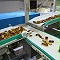 91官网食品輸送帶