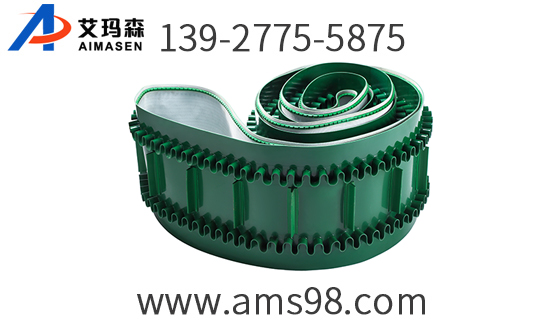 特殊加工輸送（sòng）帶（dài）